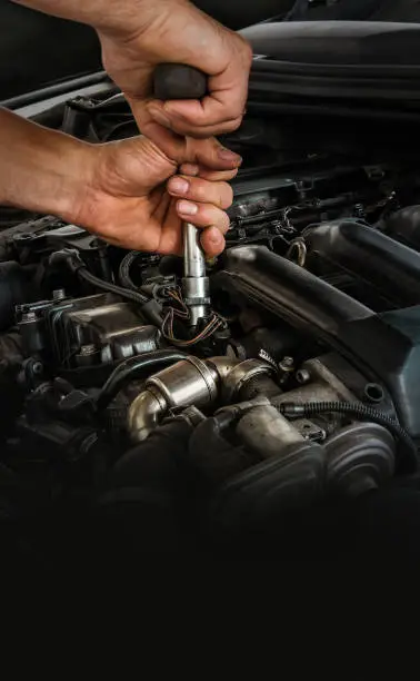 istockphoto-1333017733-612x612